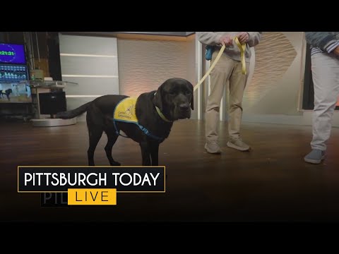 The PTL Pup Maz is all grown up! - YouTube