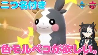 【ポケモン剣盾】超レア☆二つ名付き色違いモルペコgetの旅107～【初見さん歓迎】【女性実況】