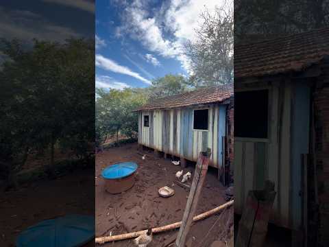 Ivaiporã no interior do estado do Paraná #Roça #sitio #Interior #Ivaiporã