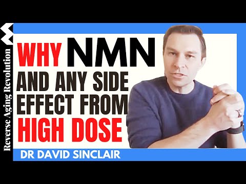 Why NMN & Any side effects from HIGH DOSE | Dr David Sinclair Interview Clips