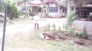 preview picture of video '2010/05/25: Panglao Island - Panglao: Tricycle'