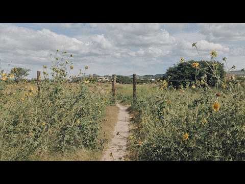 Bioenergetic Helpline #13: Depression, Fruit Trees, Fertility, Essentiality of T4, Reverse T3, Iron