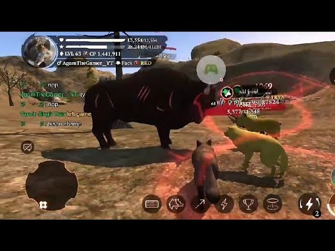 Hunting into a Green Hills Champion Room| The Wolf