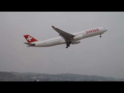 Daily Stocks Report October 25th