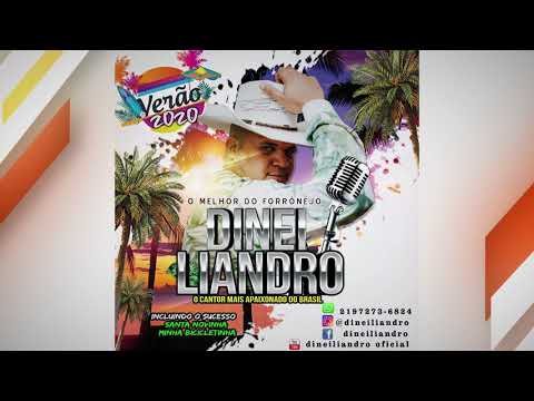 Dinei Liandro - Verão 2020- 2197273-6824