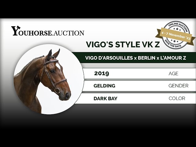 Vigo’s Style VK