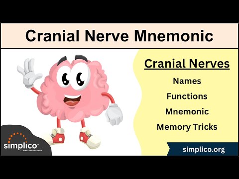 Cranial Nerves MADE EASY: Mnemonic & Tricks for their Names & Function