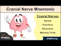 Cranial Nerves MADE EASY: Mnemonic & Tricks for their Names & Function