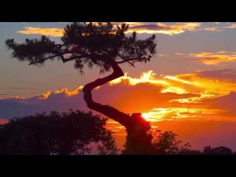 Mozart -"Contessa Perdono" Finale - Le Nozze di Figaro -