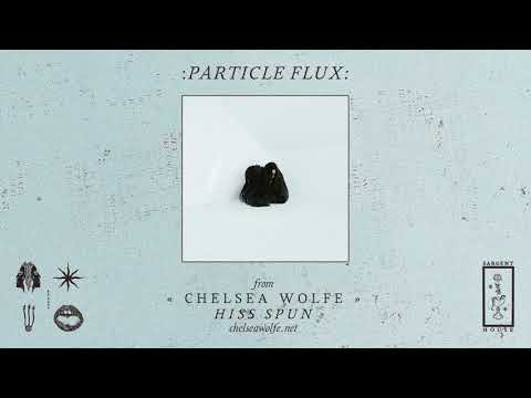 Video thumbnail for Particle Flux