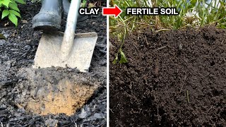 How To Improve Clay Soil | Loosen, Aerate Compacted Soil