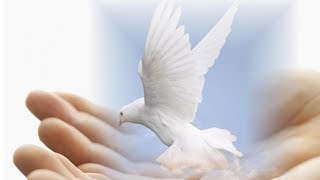 Wondrous Stories - Yes (LoveLeigh Productions ♥)