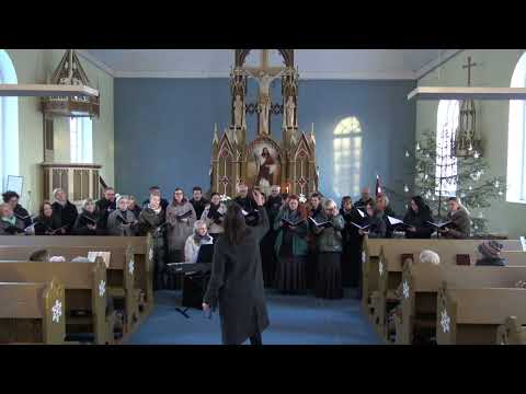 Mazais bundzinieks. Tumes koris Zvaigznes dienā, 05.01.2025.