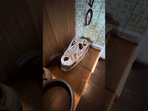Museu casa da princesa em Pilar de Goiás 
