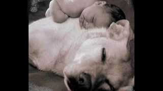 LUCIANO LIGABUE  ★VIVA ★