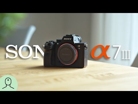Lohnt sie sich noch? | Sony A7 III in 2023 (review)