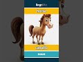 horse - caballo video thumbnail
