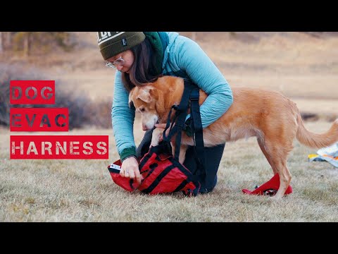 Dog Evacuation Harness Review: Fido Pro vs Ruffwear