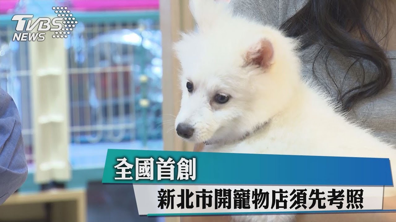 全國首創 新北市開寵物店須先考照