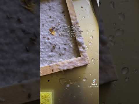 Handmade paper! Recreating things for Earth Day! #shorts