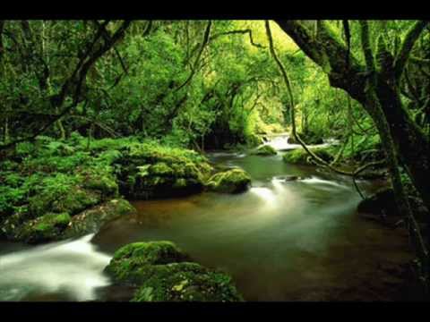 download lagu mp3 mp4 Baka Beyond Spirit Of The Forest, download mp3 Baka Beyond Spirit Of The Forest free downloadn, video klip Baka Beyond Spirit Of The Forest