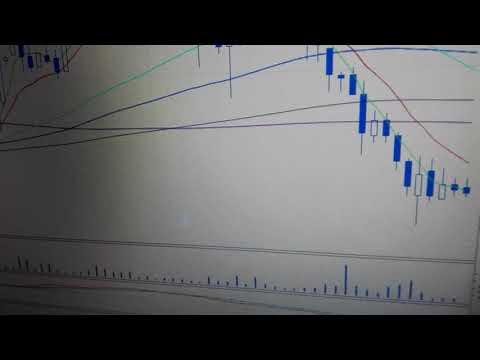 Analiza Mercaror na środę 24.03.2021r