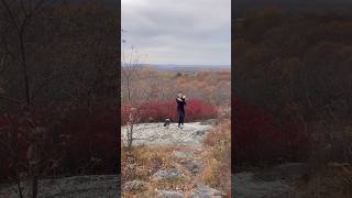 New York Life✨ Dancer Life💛