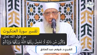 15 تفسير سورة العنكبوت من قول الله تعالى (وكأين من دابة لا تحمل رزقها) الآيات 60-64 image