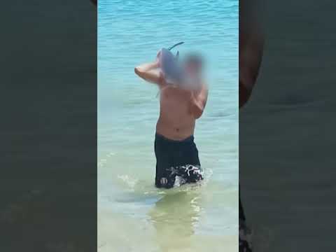 Se toman selfie con tiburón en el Quisco