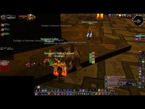 Vanilla WoW - Fusion Guild - Feral Druid - Onyxia / Scholomance