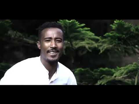 Dagne Walle - Yecheneke Elet (Wub Abeba 2) - የጨነቀለት - New Ethiopian Music 2019