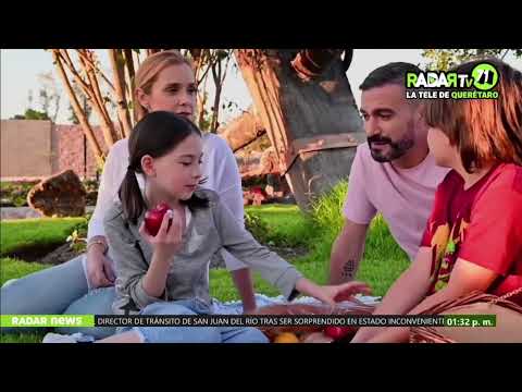 Entrevista - El Faro de los Cisnes