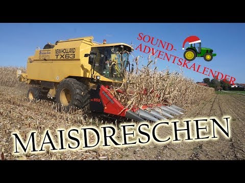 MAISDRESCHEN | SOUND-ADVENTSKALENDER