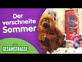 Folge 2905 Der Verschneite Sommer Neue Folgen Sesamstraße