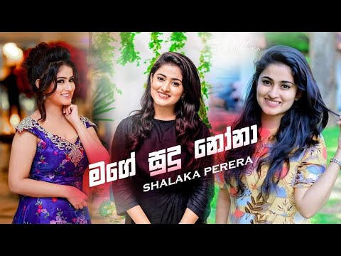 Mage Sudu Nona - Shalaka Perera Trending 2020 New Song- #Sounds #Lk