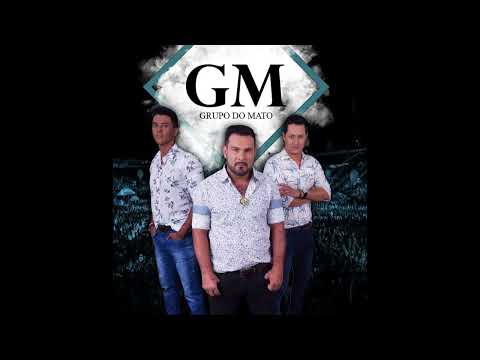 Grupo do Mato Vol 4 - 007 Seleção Forró