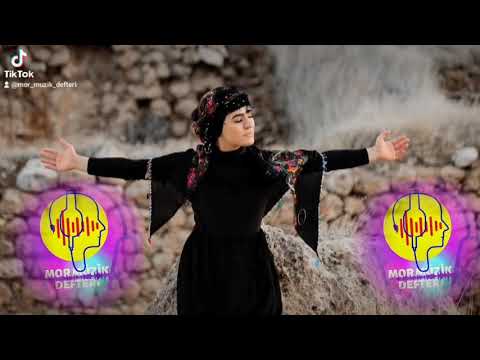 Dılorinim  Sümeyye Tedik