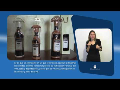 Descripción de imagen