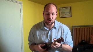 Bishop to Jellyfish 4