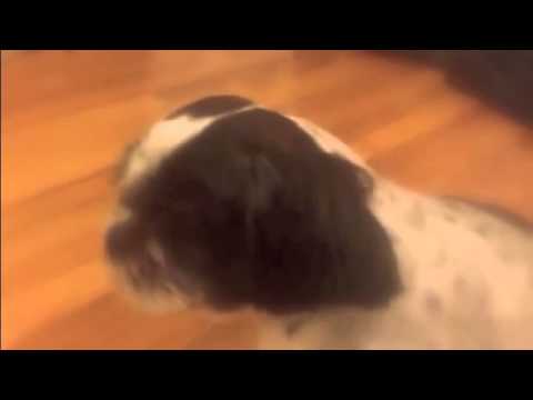 Someone Who Lives In Your Heart Cover