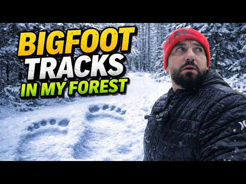 BIGFOOT TRACKS IN MY FOREST.. DAYTIME INVESTIGATION AND I FOUND MORE!!