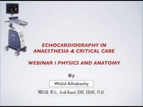 Echocardiography in septic shock I (Septic shock series)