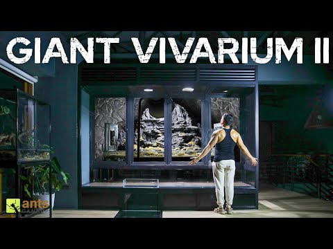 Ho costruito il mio prossimo Vivarium II gigante ed è pronto per la vita