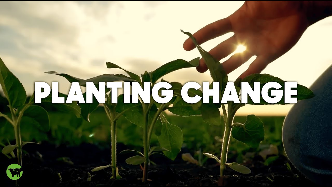 PLANTING CHANGE | A Beyond Meat Original Film