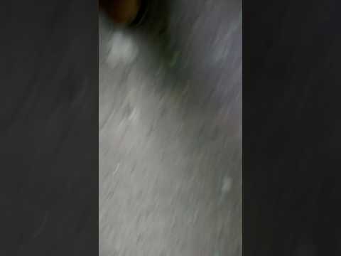 Eu aprendi como jogar a garrafa cair em pe