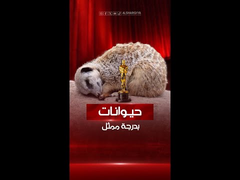 شاهد بالفيديو.. علماء في أستراليا يكتشفون قدرات غريبة لدى بعض الحيوانات والحشرات أبرزها تمثيل دور الميت