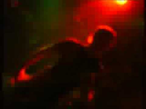 THE SKATOONS - Skank Down [LIVE HH-AADR][SKAPUNK]