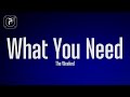 The Weeknd What You Need Lyrics