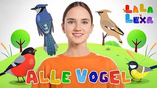 Alle Vögel sind schon da - Singen, Tanzen und Bewegen || Kinderlieder #kinderlieder #kids