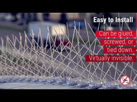 Stainless Steel Bird Spikes [Effectively Stops Pigeons, Seagulls & More!]